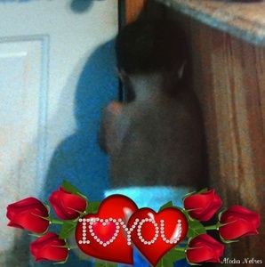 Meet your Posher, Ellen